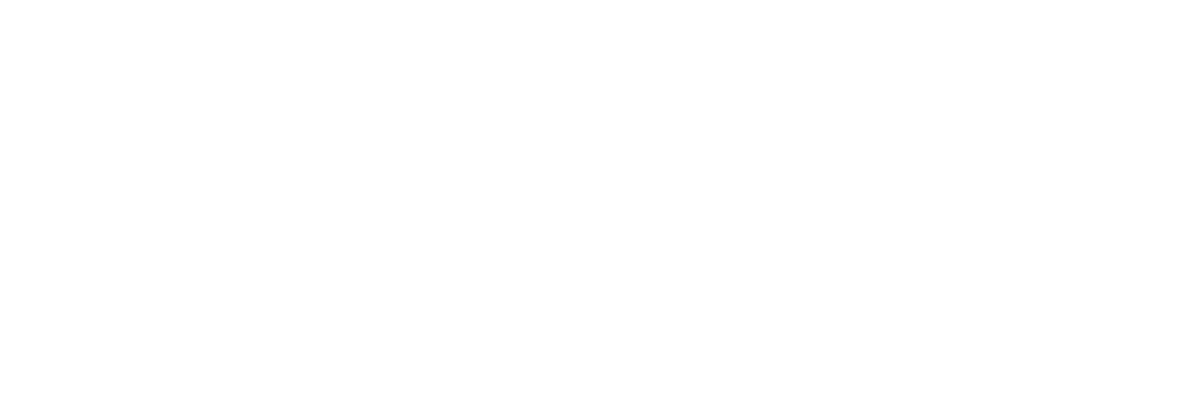 Logo weiss: Gashaus Wasserlochschenke Palfau